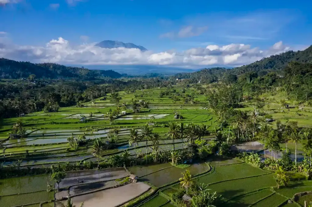 ¿Dónde alojarse en Bali? Las 7 mejores zonas y lugares para alojarse 🇮🇩 5