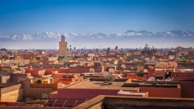 ¿Dónde alojarse en Marrakech? Los 7 mejores lugares y zonas 🇲🇦 45