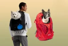 The 6 Best Dog Backpack Carriers of 2024, Tested and Rated 83