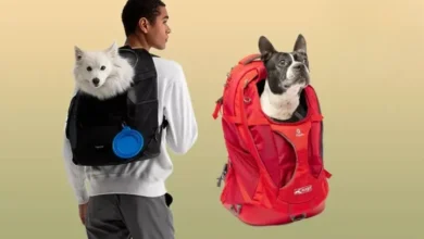 The 6 Best Dog Backpack Carriers of 2024, Tested and Rated 103
