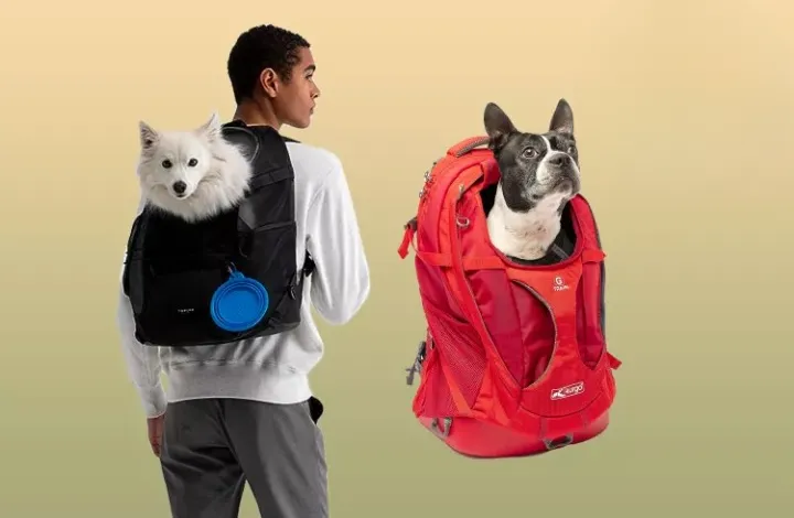 Los 6 mejores transportines de mochila para perros de 2024, probados y analizados 1