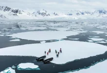 Sie wollen also nach Svalbard? : Reisetipps