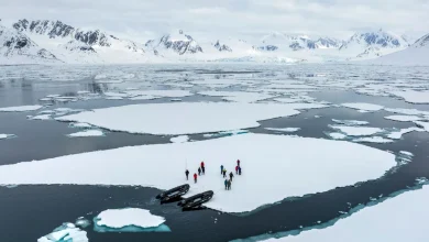 Sie wollen also nach Svalbard? : Reisetipps