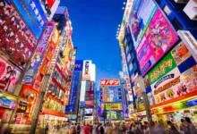 Wo in Tokio übernachten: 8 beste Gebiete und Tokio hotel tour 2024 🇯🇵 2024, Wo in Tokio übernachten: 8 beste Gebiete und Tokio hotel tour 2024 🇯🇵