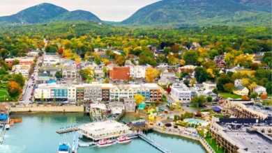 ¿Dónde alojarse en Cape Cod? Los 10 mejores lugares para alojarse en Cape Cod 🇺🇸 2024, ¿Dónde alojarse en Cape Cod? Los 10 mejores lugares para alojarse en Cape Cod 🇺🇸